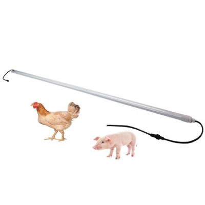 China Waterproof 2700k 5500k 25w 36w Poultry Pig House Equipment Led Poultry Light for sale