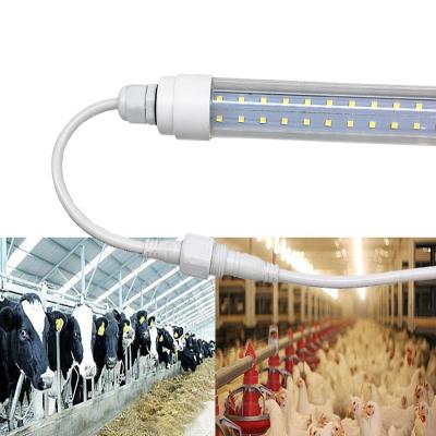 China Poultry ip65 Waterproof Ip67 Dimmable Led Poultry Light Growing Light for sale