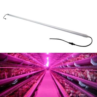 China Poultry blue infrared triproof ip65 led lights lamp for poultry house for sale