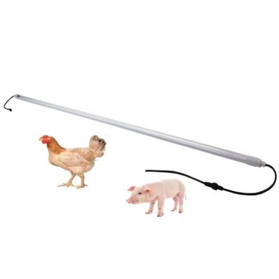 China Poultry Flicker free led chicken farm shed tube lights ip67 waterproof dimmable led poultry light for sale