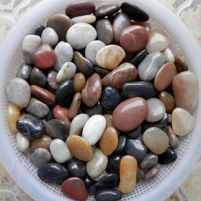 China Contemporary Types of Polished Colorful Natural Stone Stones Pebbles Garden Decorative Stone Philippine Natural Pebble for sale