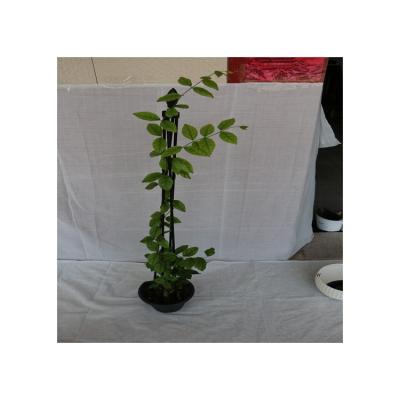 China Sustainable Cheap Plant Garden Decorate Obelisk Dip Makers for sale