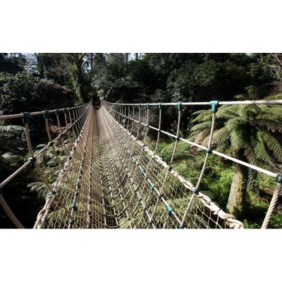 China Plaground; Park ; The water ; Original Valley Factory Made Rope Bridge Rope Net Walk Bridge for sale