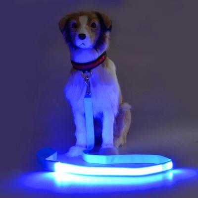 China Newcomer Stocked Light Up Dog Leash And Harness Designers Led Lighting Dog Harness Leash Set Lighting Collar for sale