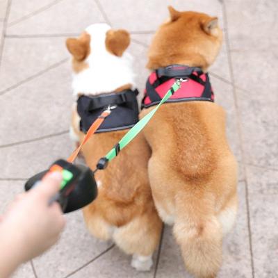 China Stored Pet Products Pet Leash Double Handles Durable Portable Working Reflective Retractable Double Dog Leash for sale