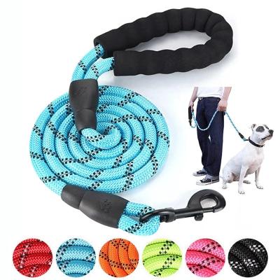 China Hot Sale Stocked Climbing Rope Dog Leash Dog Collars Running Nylon Leashes for sale