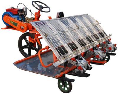 China Agriculture Convenient Machine Rice Planter Has Appropriate Price Is The Best Choice For Farmer for sale