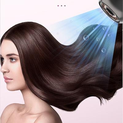 China Factory Wholesale Portable High Quality Professional Tavel PC Material 800W Hair Dryer With Heat Protection for sale