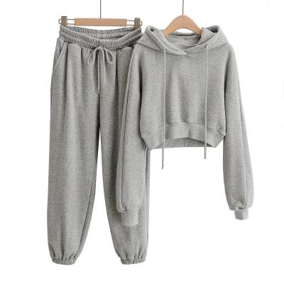 China 2021 Women's Two-Piece Set Fashion Breathable Hot Sale Casual Cotton Sweated Suits Hoodies For Women for sale