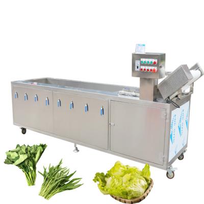 China Automatic Fruit Vegetable Processing Machinery For Washing Vegetable Fruits Litchi Bubble for sale