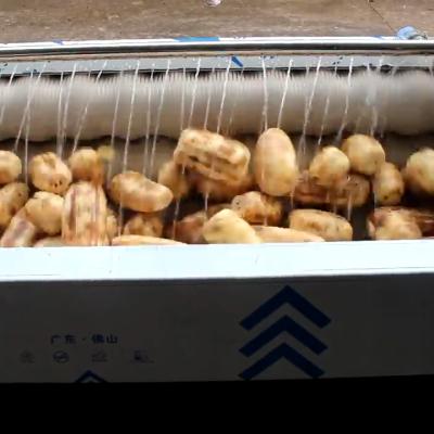 中国 Roll Fruit Vegetable Processing Machinery Carrot Potato Washing Cleaning Peeling 販売のため