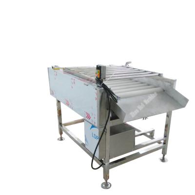 Cina Zhaohui Stainless Steel Vegetable Fruit Washing Machine Potato Apple Orange Mango Fruit Cleaning in vendita