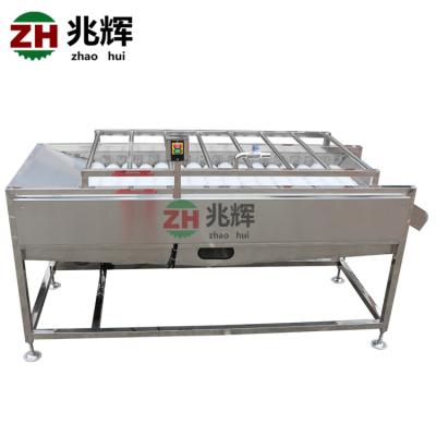 China zhaohui factory price citrus fruit red date peach lemon avocado brush washing machine vegetable for sale for sale