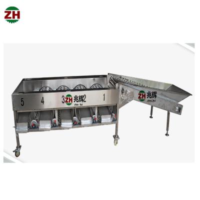 中国 Potato/avocado/tomato/orange/ Apple Sorter machine with cheap price 販売のため