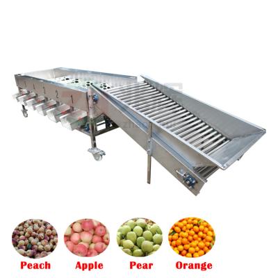 Chine Stainless Steel Fruit Sorting Machine For Sorting Apple Lemon Potato Oranges à vendre