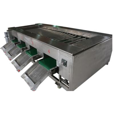 China Potato grading machine longan sorting machine mango sorting machine for farm à venda