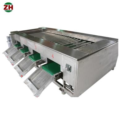 China Roller-Type Fruit Sorting Machine Onion Vegetable Potato Longan Sorting à venda