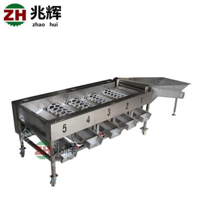 China Zhaohui Stainless Steel Fruit Sorting Machine ZH-FX4 500KG 0.75KW 4160*1010*930MM for sale