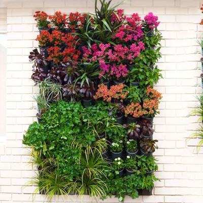 China Vertical Wall System Decorative Green Flower Green Plant Garden Flower Walls Exterior for sale