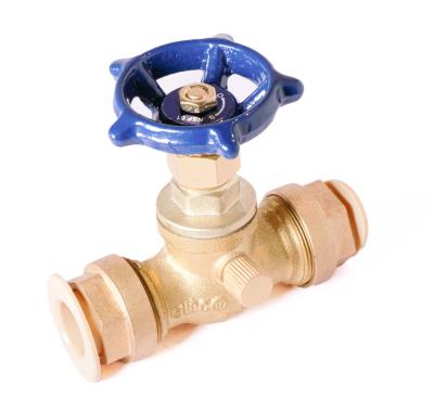 China Brass Gate Valve Casting Body Female Thread Water Gate Valve Connect Manual Power for sale