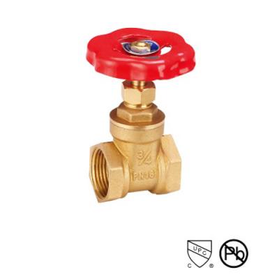 China SS Casting Body Brass Gate Valve Female Threaded Gate Valve Brass for sale