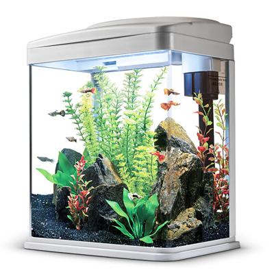 China Viable Top Small Filter Tropical Aquarium For Home R-310 Series for sale