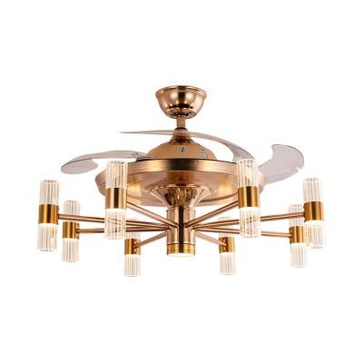 China CHINA Factory 2021 New Modern Design Post Modern Blades Clear Ceiling Fan with Light and Remote Control for sale