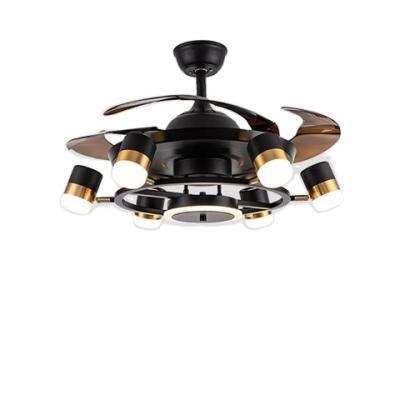 China CHINA Factory 2021 New Modern Design Post Modern Blades Clear Ceiling Fan with Light and Remote Control for sale