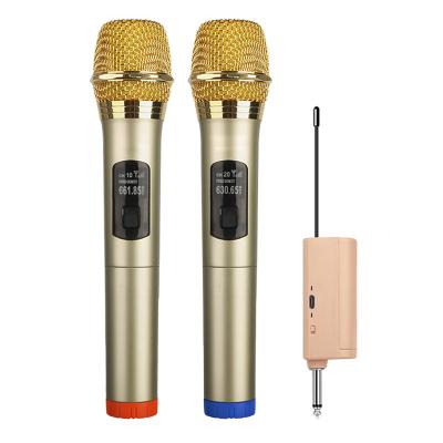 China Clear Sound Factory OEM Karaoke 2 Channel Professional Handheld Wireless Microphone for Church for sale