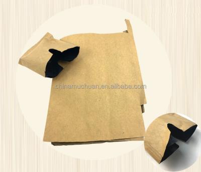 China Hot Sale BIODEGRADABLE Fruit Protect Kraft Paper Mango Bag With Iron for sale