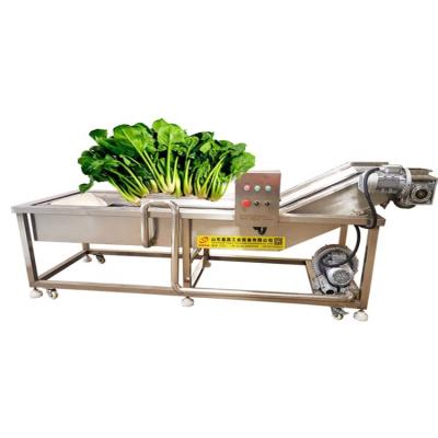 China Water Saving Bubble Vegetable And Fruit Washing Machine Fruit Vegetable Washing Type Fruit Vegetable Machine for sale