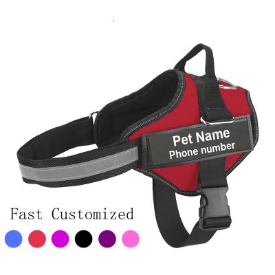 China Fondopeted Padded Custom Name Doged Private Label Harness Adjustable Peted Harness with Collar Belt Personalized Names for sale