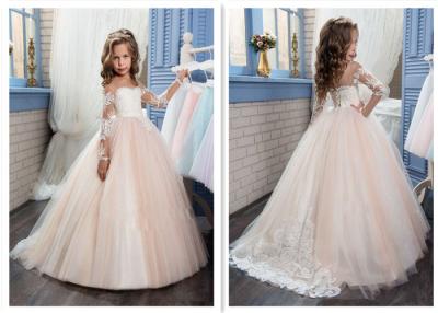 China Blush Silver Flower Girl Dresses , Unique Childrens Flower Girl Dresses for sale