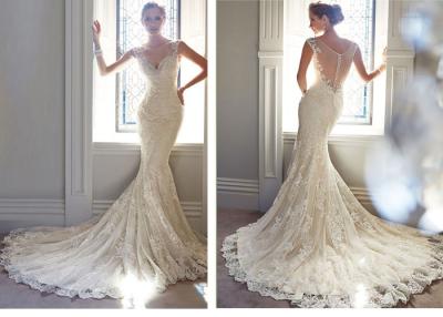 China Sexy Deep V Mermaid Tail Wedding Dress , Handmade Lace Wedding Gowns For Womens for sale