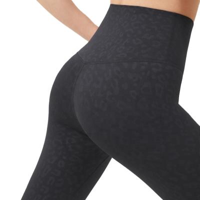 China Ptsports Antibacterial Cheap Sport Sets Sexy Fitness Wear Mesh Gym Bra And Pant Suits Shaping Tights For Women for sale