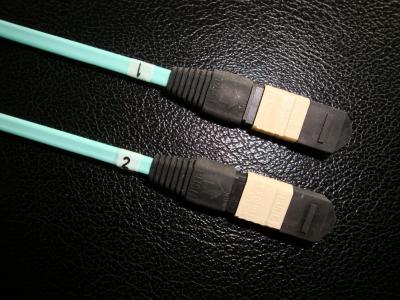 Cina 24 48 144 cavi MP millimetro 1m 3m della toppa della fibra della fibra MTP MPO 7m 10m in vendita