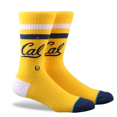 China Wholesale 2021 Hottest Mens Cotton QUICK DRY Custom Sports Striped Crew Socks for sale