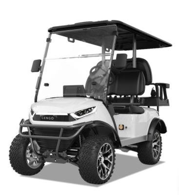 China Launched Electric Golf Cart 2 2 Seater Buggy with 30-50Km/h Speed and Minimum Grand Clearance 150-200mm for sale