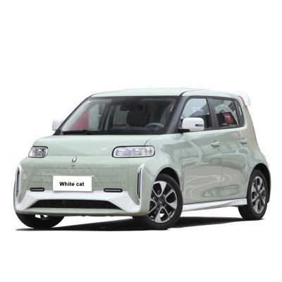 China Pure Electric 48 Horsepower ORA White Cat 305km Range 4-Seater Hatchback Energy Vehicle 0km Used Mini Electric Car Adult for sale