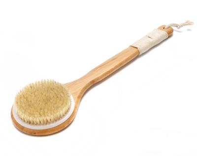 China All Natural Boar Hair Wooden Cellulite Exfoliating Long Body Dry Brush Handle Massage Skin Bath Brush for sale