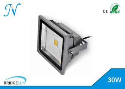 China Color Changing Ceiling Mounted Outdoor Flood Lights , 30w Home Led Flood Lights for sale