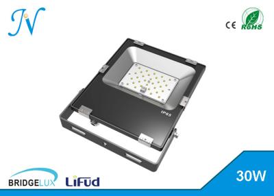 China Warm White 30 Watt Rechargeable Led Floodlight Dimmable Led Flood Light Fixtures for sale