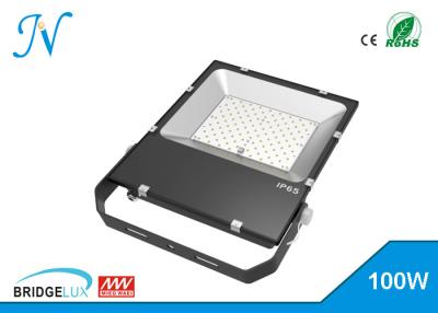 China High Bright Powerful Dimmable Led Flood Lights 100w Led Floodlight AC180V - 295V for sale