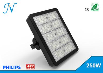 China IP65 High Power 250W Led Tunnel Light With MEANWELL Driver For Tennis Court , Led Stadium Light for sale