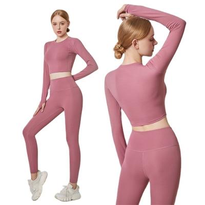 China High End Professional Gym Anti-Wrinkle Yoga Set Thin Type Running Yoga Beginner Sports Suit Clothes High Elastic Yoga Set for sale