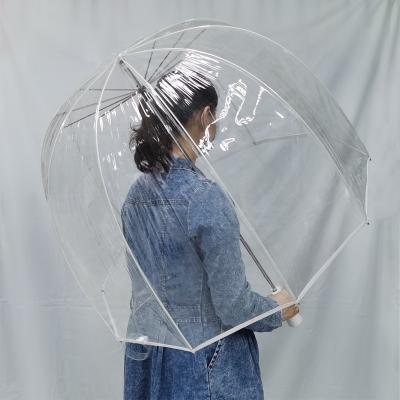 China Contemporary PVC Umbrella Clear Transparent Upright Umbrella With Customized for sale