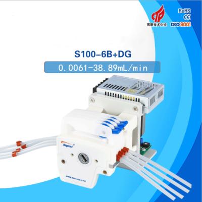 China Small Lab Dosing Pump Microflow Peristaltic Flow Liquid Transfer Pump S100-6B S100-6B+DG for sale