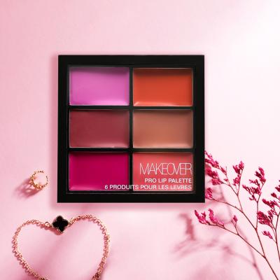 China Matte High Pigmented Creamy Matte Lipstick Set Waterproof Making Palette for Makeup for sale