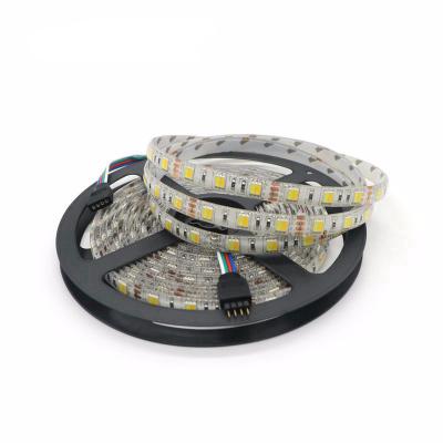 China LANDSCAPE Dual Color WW CW Led Strip Light Flexible Strip With Dual LED White Strip 60LEDs/m DC12/24V 3528 5050 for sale