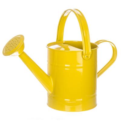 China Modern Style Art Decor Metal Watering Can Watering Can with Handle and Long Spout Garden Tools 57 Oz/1.7, Yellow for sale